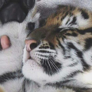 Meet your Posher, Jackie